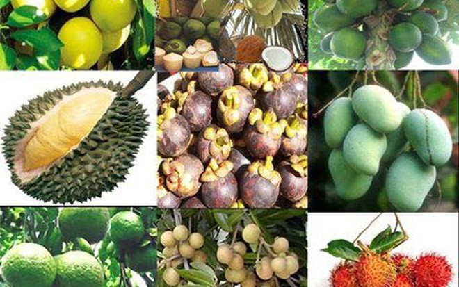 Fruits exotiques du Sud Vietnam - ảnh 1